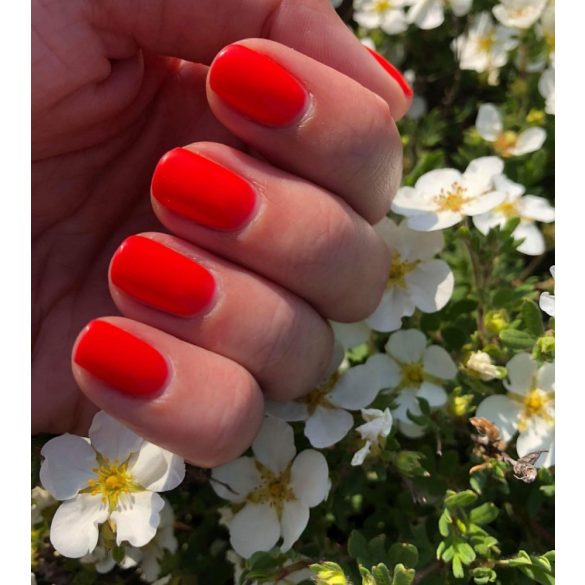 Gel Nail Polish 4ml - DN196 - Sex on the Beach - Gel Polish