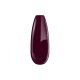 Gel Nail Polish 4ml - DN253 - Blackberry- Gel Polish