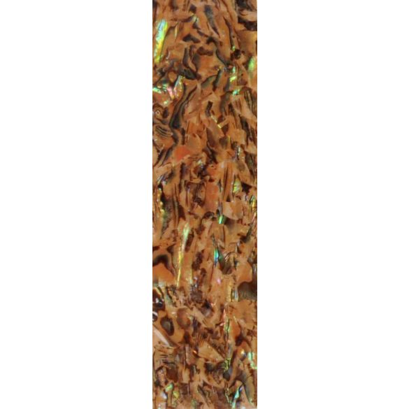 Shell strip - gold