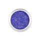 Glitter Powder #42