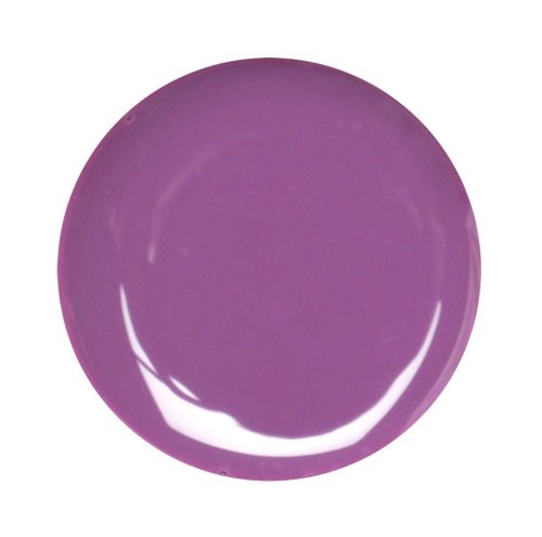 Violet Color Gel 5gr #25 
