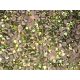 Iron on Swarovski Rhinestones,Light Green 50pcs 