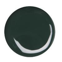 Dark Green Color Gel 5g #040