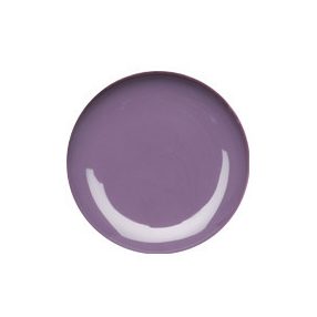 Savage Purple Color Gel 5g #048