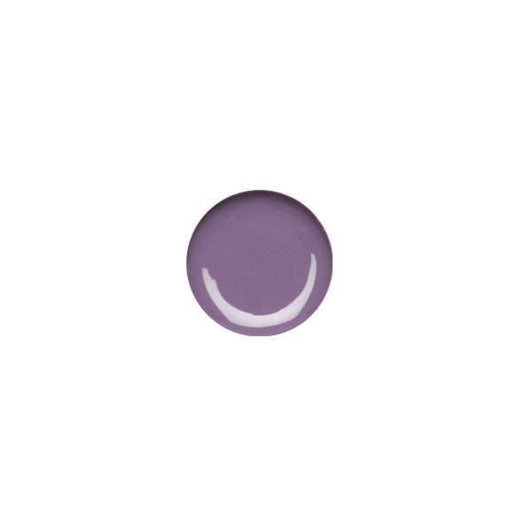 Savage Purple Color Gel 5g #048