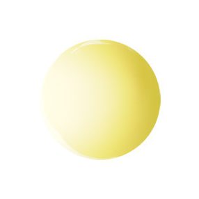 Pastel Yellow Color Gel 5g #055