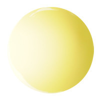 Pastel Yellow Color Gel 5g #055